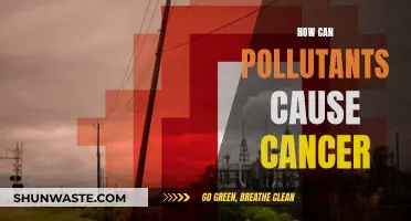 Pollution's Cancerous Effects: Understanding the Deadly Link