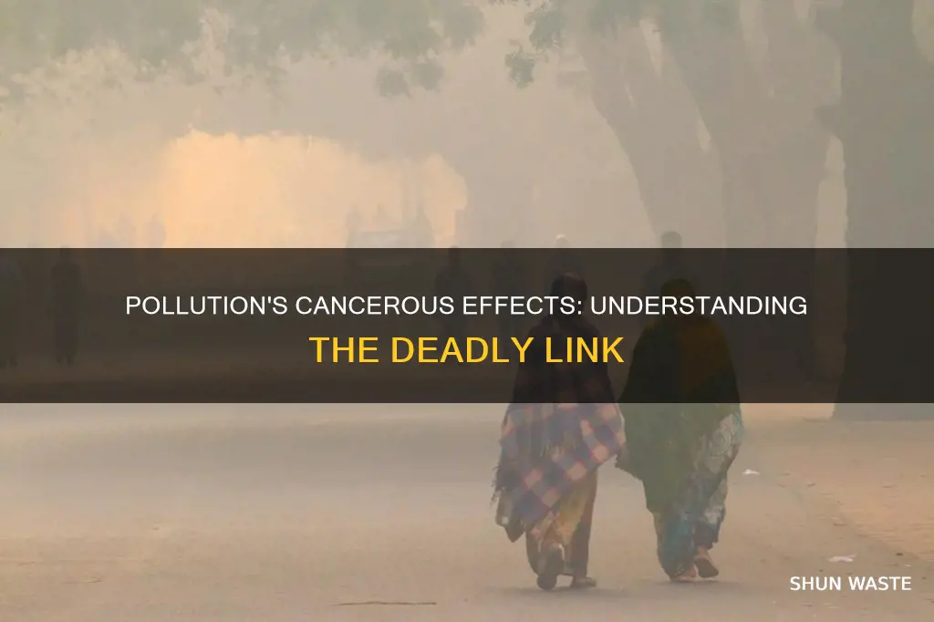 how can pollutants cause cancer