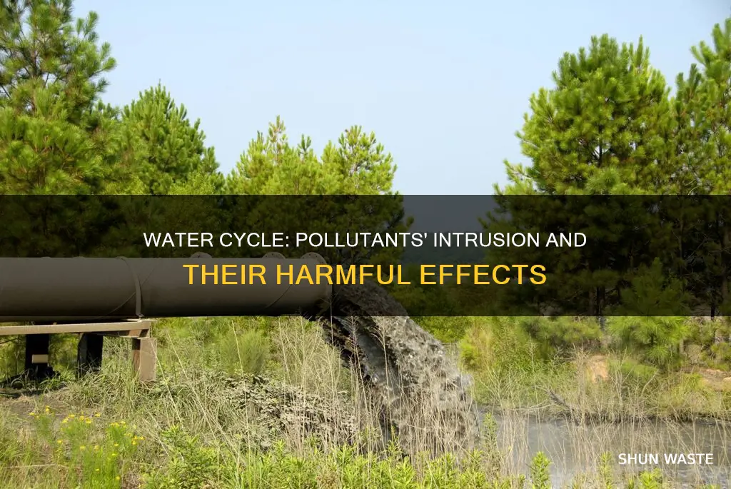 how can pollutants get into the water cycle