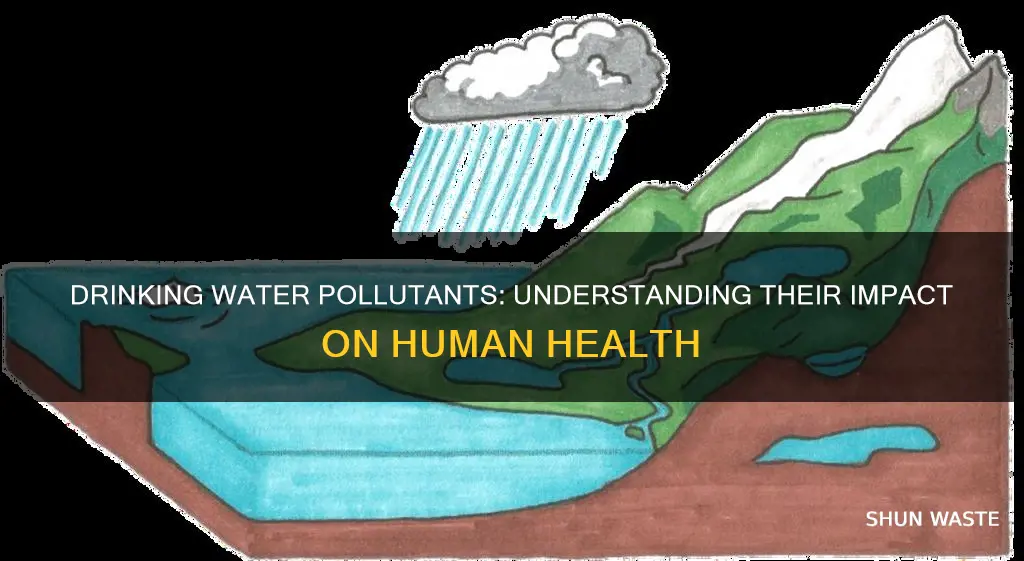 how can pollutants in drinking water affect humans