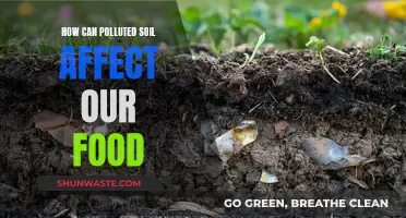 Soil Pollution: Impacting Our Food, Health and Environment