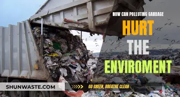 The Dark Side of Garbage: Polluting Our Environment