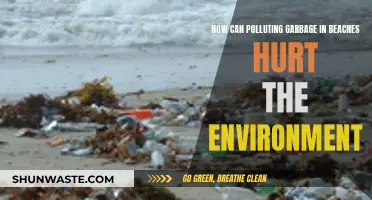 Beach Garbage: Environmental Impact and Solutions