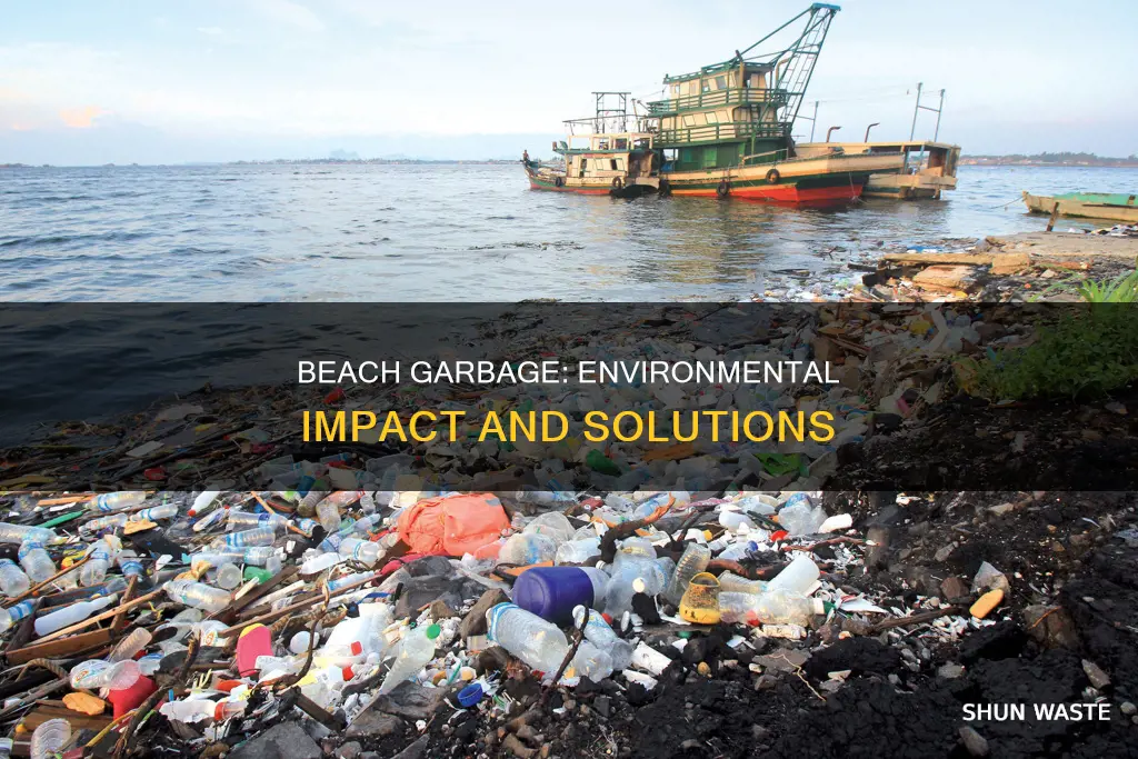 how can polluting garbage in beaches hurt the environment