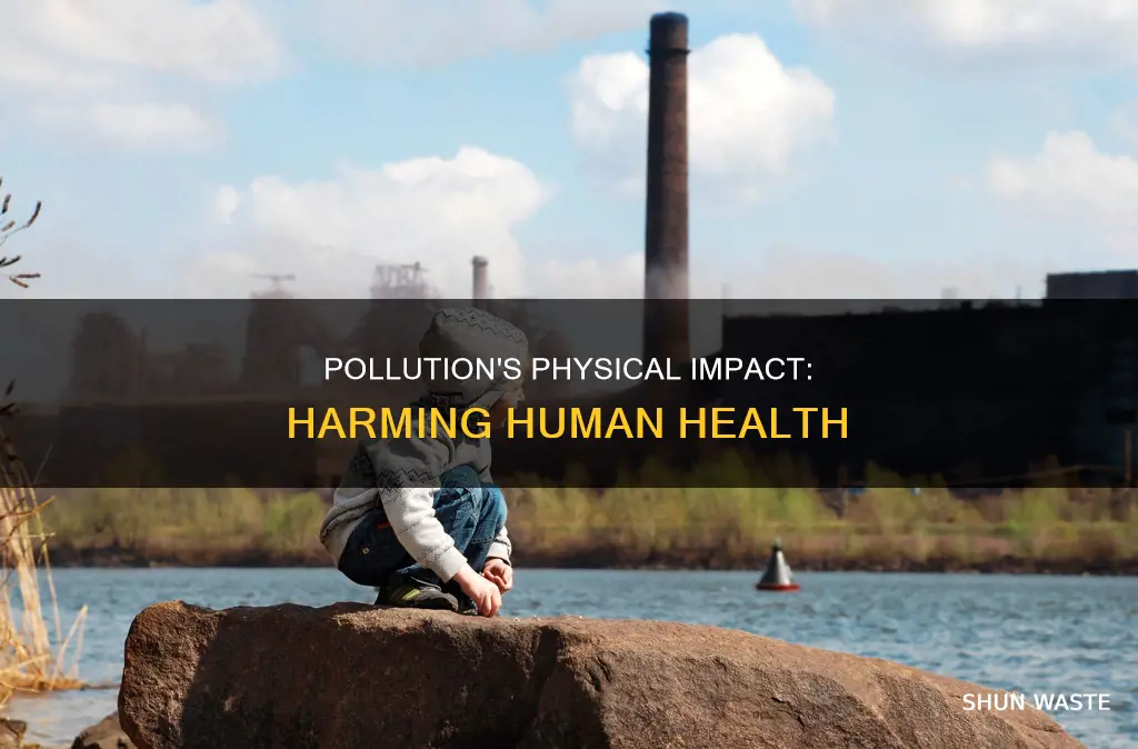 how can pollution affect a person physically