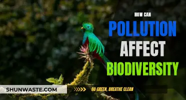 Pollution's Impact on Biodiversity: Understanding the Devastating Effects