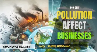 Pollution's Impact: Businesses Face the Brunt