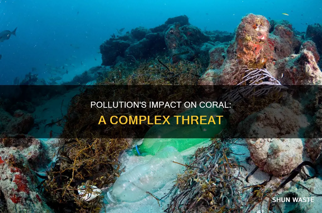 how can pollution affect coral