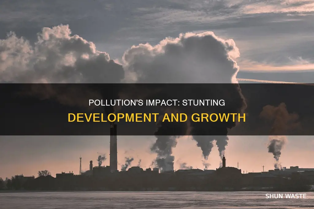 how can pollution affect development