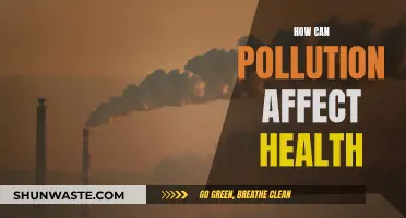 Pollution's Impact: Understanding Health Hazards and Risks