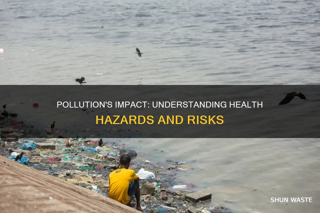 how can pollution affect health