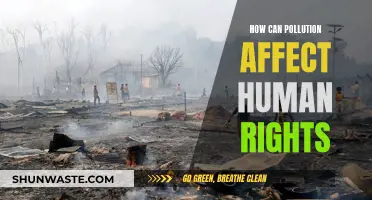 Pollution's Impact: Human Rights Under Threat