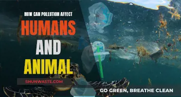 Pollution's Impact: Humans and Animals at Risk