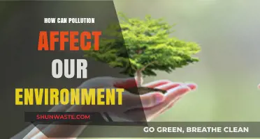 Pollution's Devastating Impact: How It Threatens Our Environment and Future