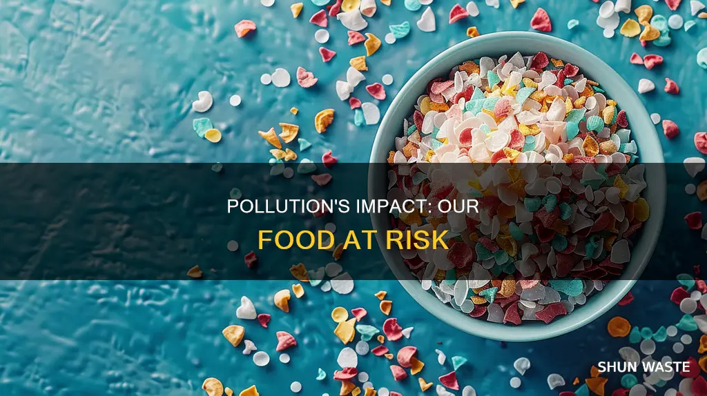 how can pollution affect our food