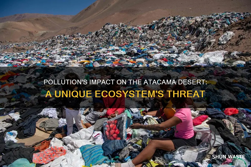 how can pollution affect the atacama desert