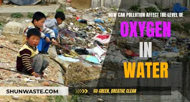 Pollution's Impact: Water Oxygen Levels