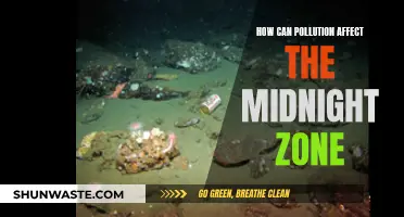 The Midnight Zone: Pollution's Dark Impact on Ocean Depths