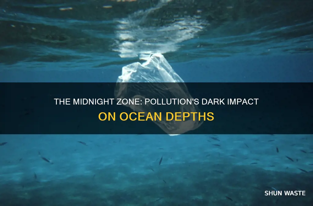 how can pollution affect the midnight zone