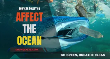 Ocean Pollution: Understanding the Devastating Impact on Marine Life