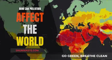 Pollution's Impact: A World in Danger