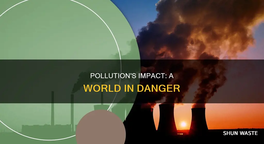 how can pollution affect the world