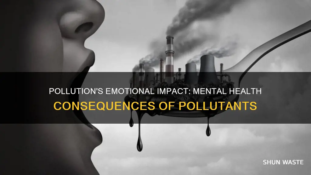 how can pollution affect you emotionally