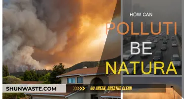 Natural Pollution: Is Nature Ever Truly Polluted?