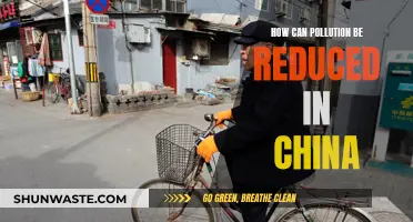 China's Pollution Crisis: Strategies for a Greener Future