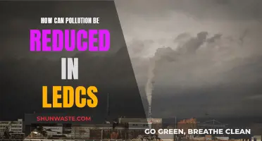 Strategies to Reduce Pollution in LEDCs