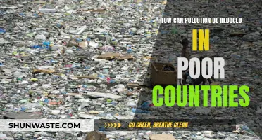 Reducing Pollution in Poor Countries: Strategies for Improvement