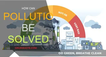 Solving Pollution: Strategies for a Sustainable Future