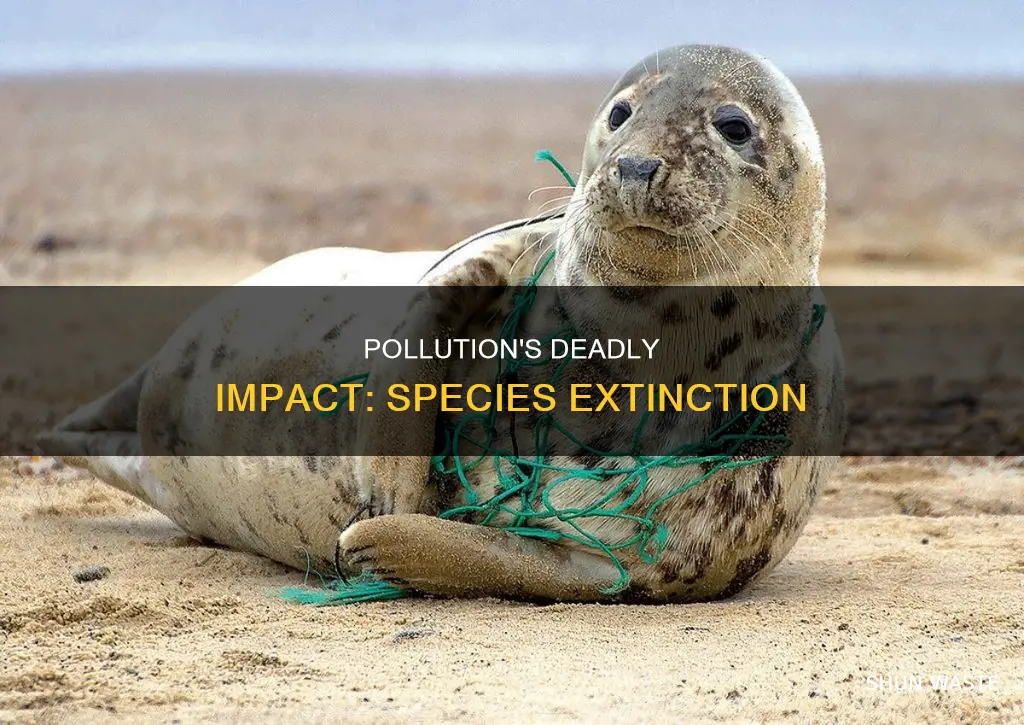 how can pollution cause a species to disappear