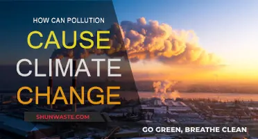 Climate Change: Pollution's Impact and Influence