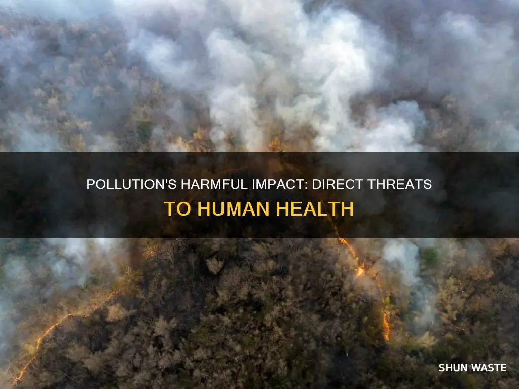 how can pollution cause direct harm to humans