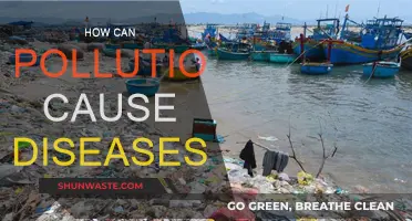 Pollution's Impact: Understanding Disease Causation