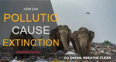 Pollution's Deadly Impact: How It Threatens Species Extinction