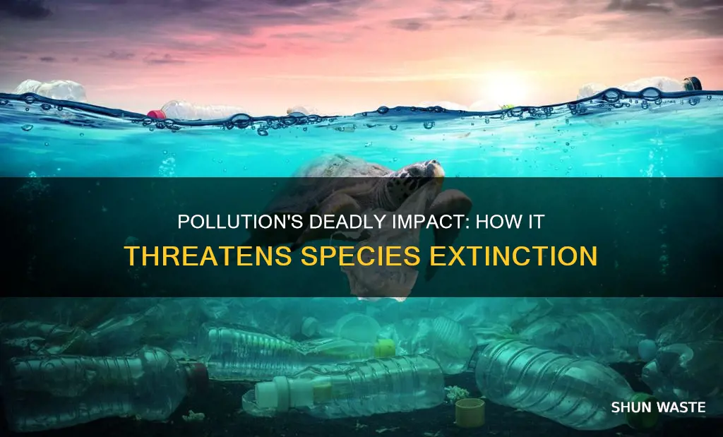 how can pollution cause extinction