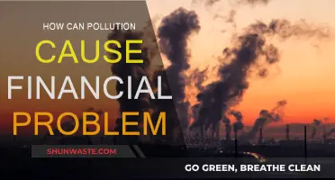 Pollution's Financial Impact: A Costly Environmental Concern