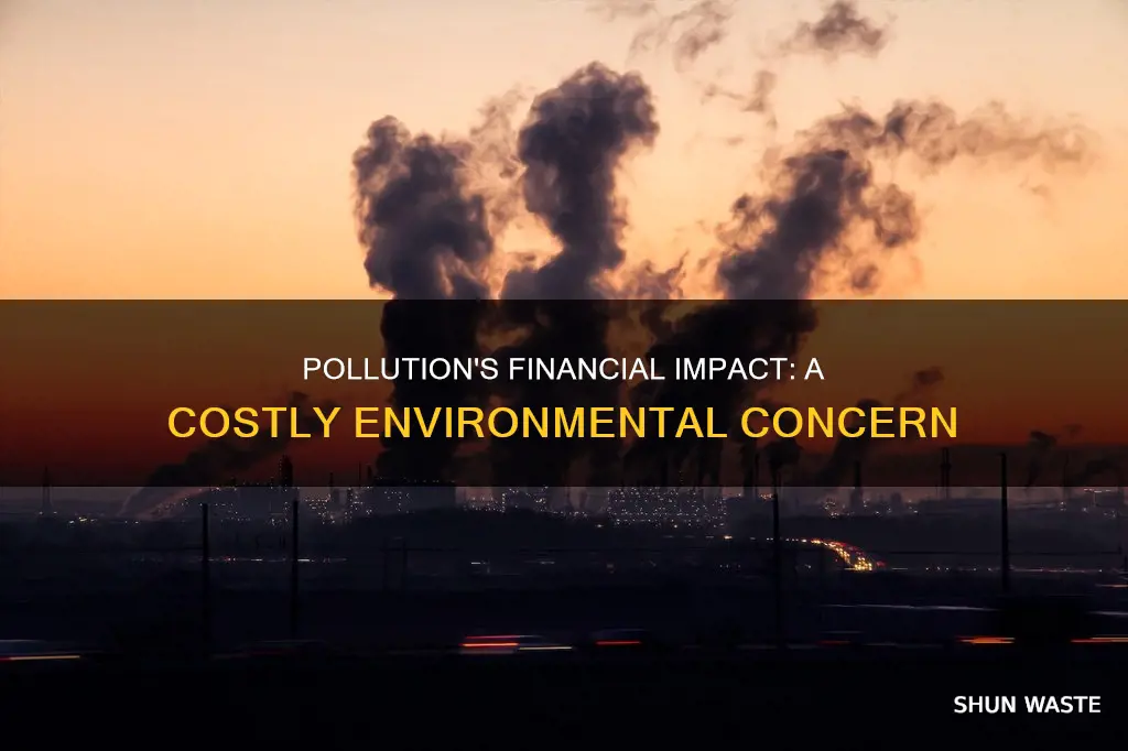 how can pollution cause financial problems