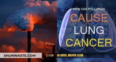 Pollution's Link to Lung Cancer: A Deadly Connection