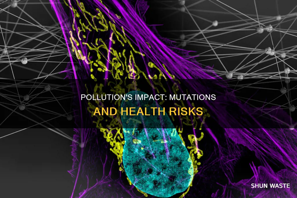 how can pollution cause mutations