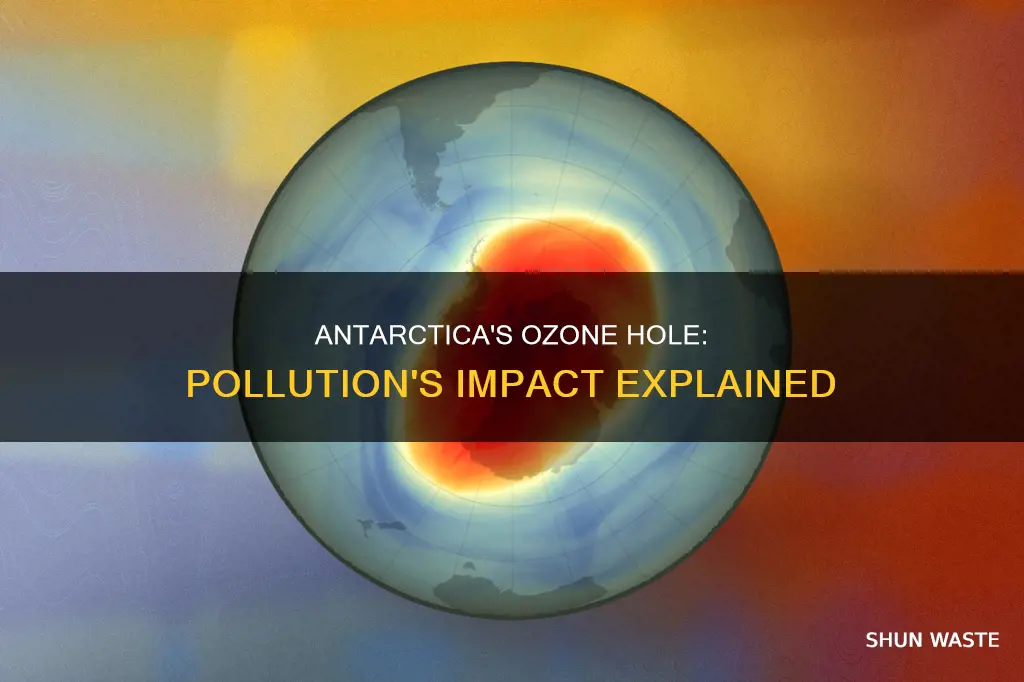 how can pollution cause ozone hole over antarctica