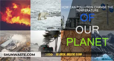 Pollution's Impact: Changing Our Planet's Temperature