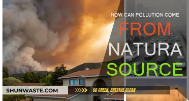 Natural Pollution: Unseen Sources Revealed