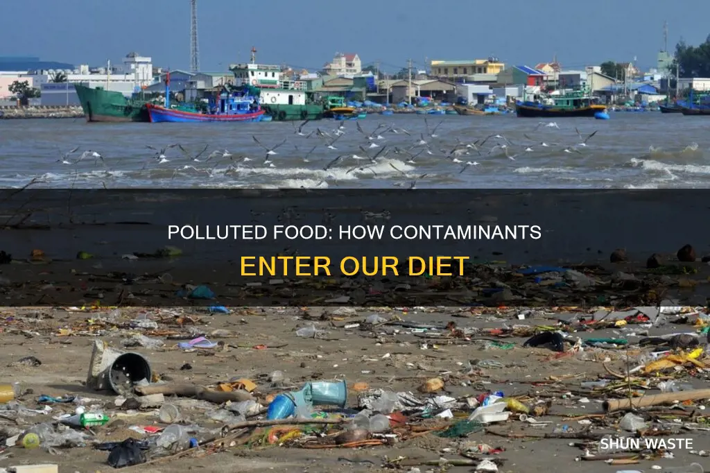 how can pollution contaminate our food supply