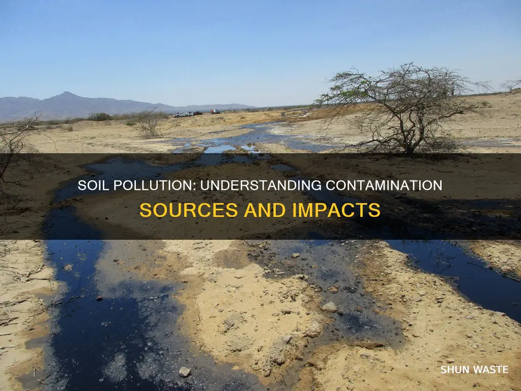 how can pollution contaminate the soil