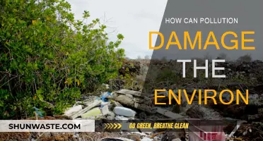 Pollution's Impact: Damaging Our Environment and Ecosystems