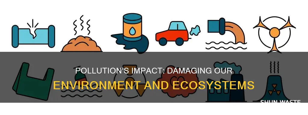 how can pollution damage the environment