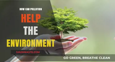 Pollution's Paradox: Unveiling Hidden Environmental Benefits and Sustainable Solutions